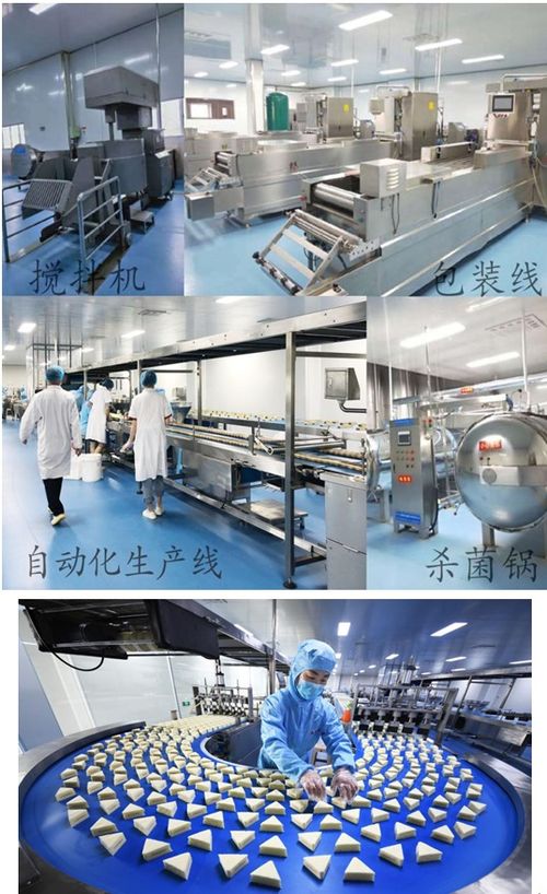 疫情不阻扶貧路 森樂食品保業(yè)增收與文物保護(hù)工程設(shè)計(jì)